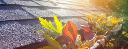 Herfstbladeren in goot – Gebouwenverzekering – Zakelijk