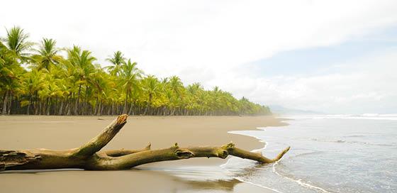 Strand-onondektstrand-particulier