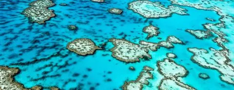 Blauw water-mooie duiklocaties-particulier