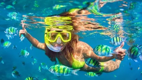 Snorkelster-snorkelplekken-particulier