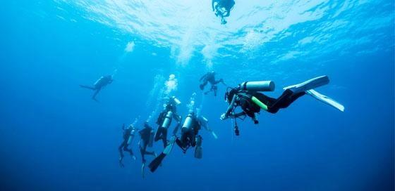 Groep duikers-beginnende duikers-particulier