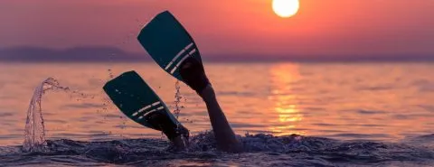 Flippers-duiken in de winter – particulier
