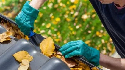 Dakgoot blaadjes stormschade voorkomen – Woonhuisverzekering – Particulier