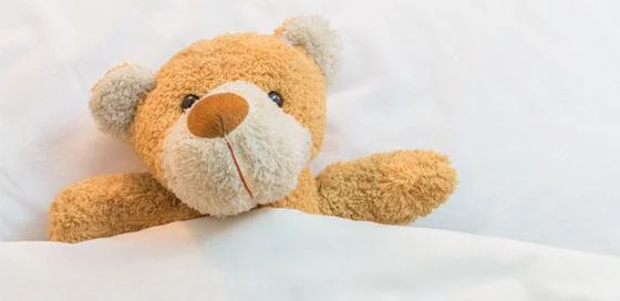 Teddybeer-reisverzekering-particulier