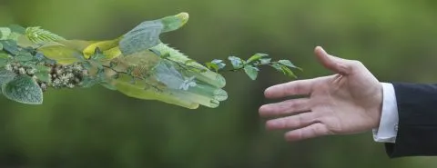 Man geeft hand aan natuur – BRV – Zakelijk