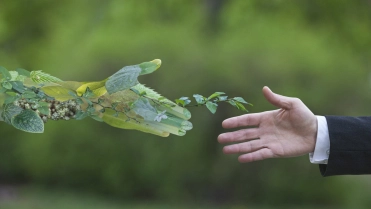 Man geeft hand aan natuur – BRV – Zakelijk