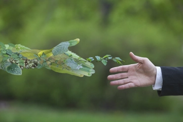 Man geeft hand aan natuur – BRV – Zakelijk