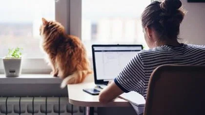 Vrouw achter laptop, kat in raam – Cybercrime verzekering – Zakelijk