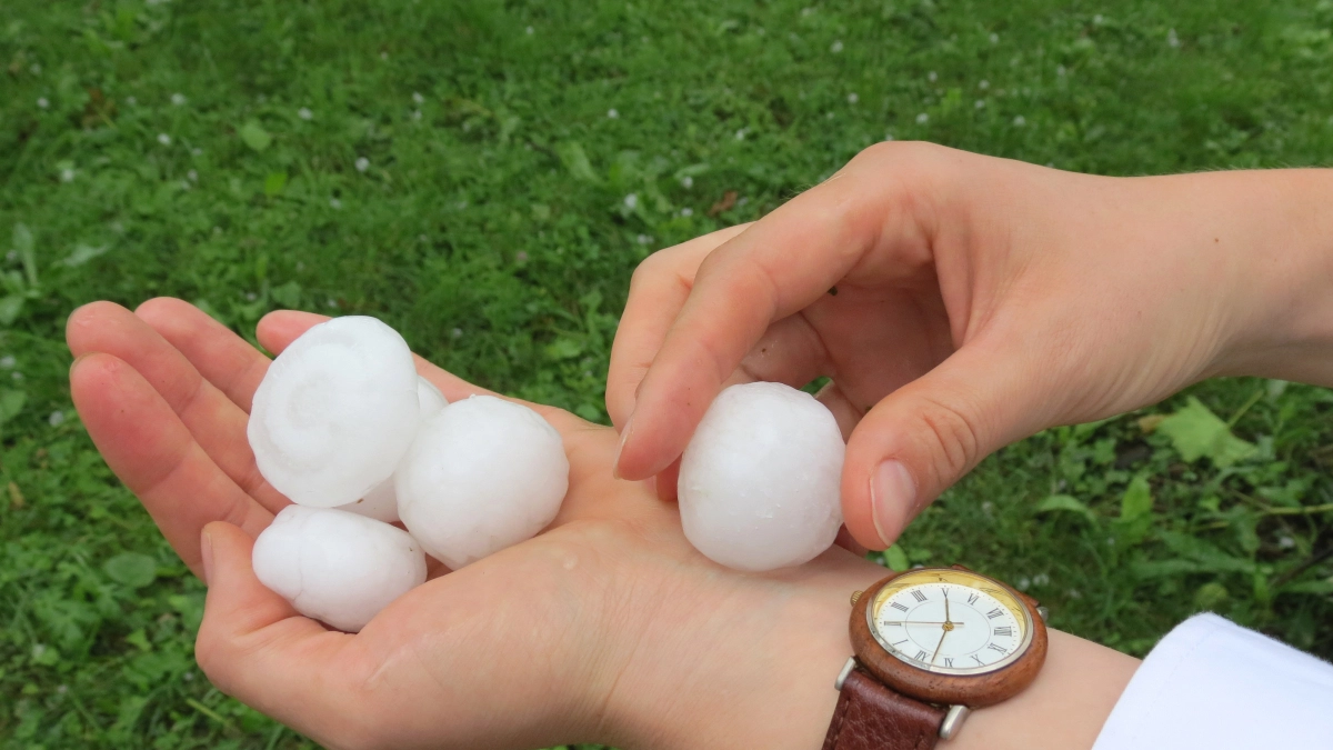Hagel in hand – Hagelschade – Particulier