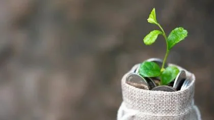 Kleine pensioenen in 2021 | hoe zit dat?Plantje in zak met geld – Pensioen – Zakelijk