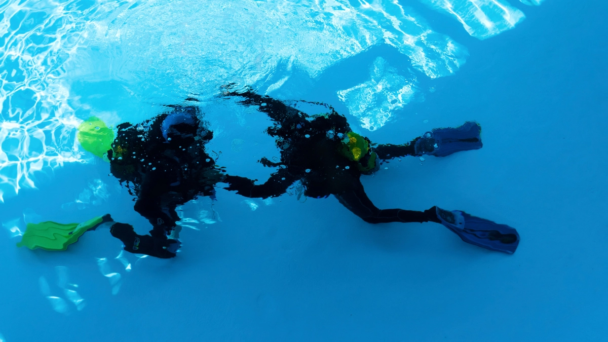 Duikers onderwater – Specialismen – Zakelijk