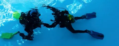 Duikers onderwater – Specialismen – Zakelijk