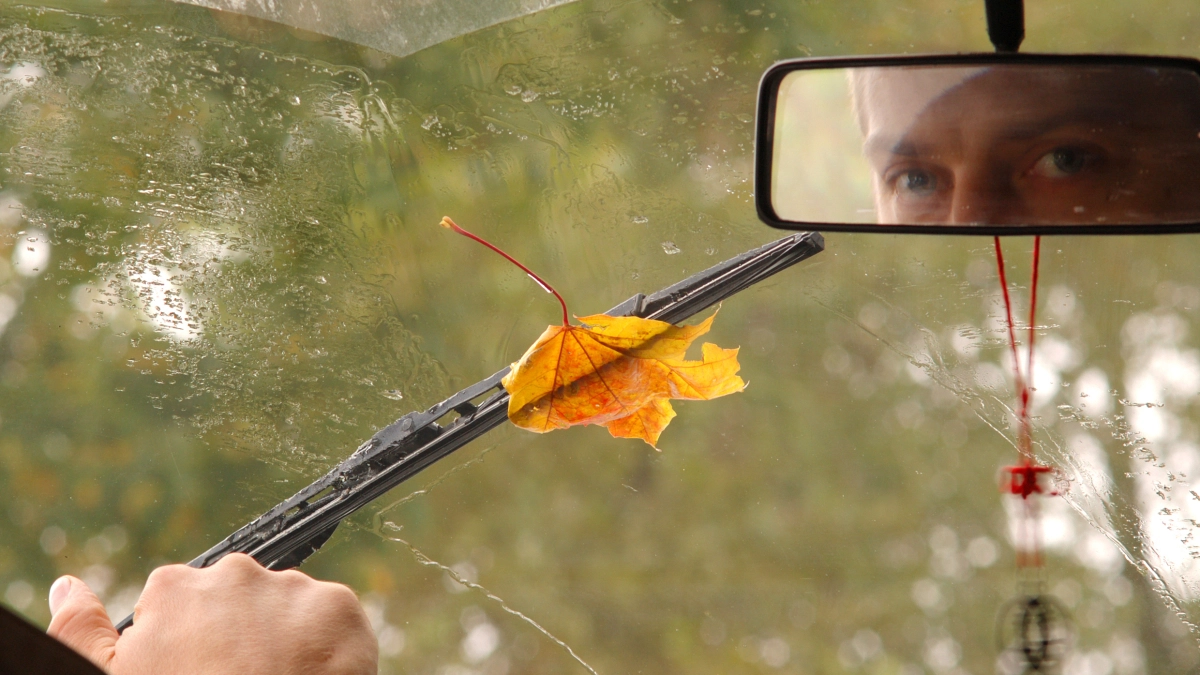 Blaadje op autoruit en regen – Bedrijfsautoverzekering – Zakelijk