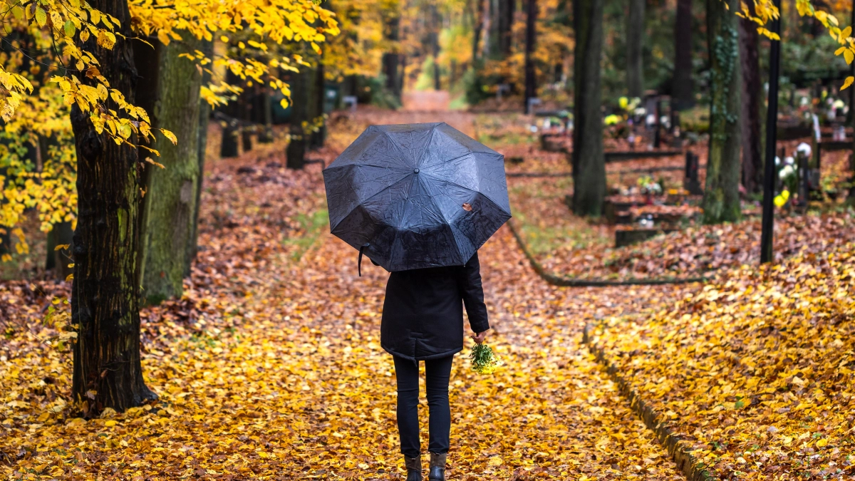 Vrouw in bos herfst met paraplu – Uitvaartverzekering – Particulier