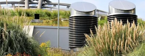 Groendak op uw bedrijfspand – Gebouwenverzekering – Zakelijk