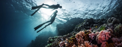 Beginnende duikers in het water – Schox duikverzekering – Particulier