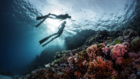 Beginnende duikers in het water – Schox duikverzekering – Particulier