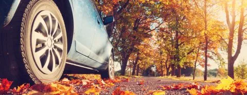 Auto in herfstbladeren – Autoverzekering – Particulier