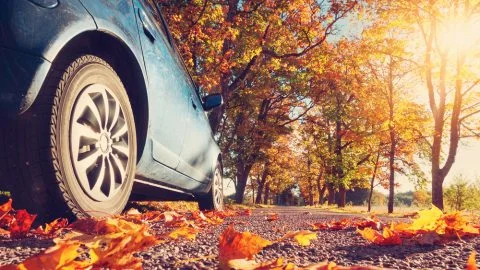 Auto in herfstbladeren – Autoverzekering – Particulier