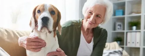 Vrouw met hond geniet van pensioen – Pensioen – Zakelijk