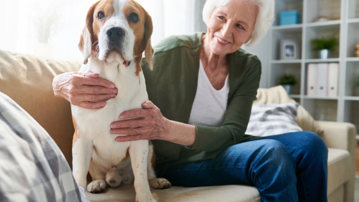 Vrouw met hond geniet van pensioen – Pensioen – Zakelijk