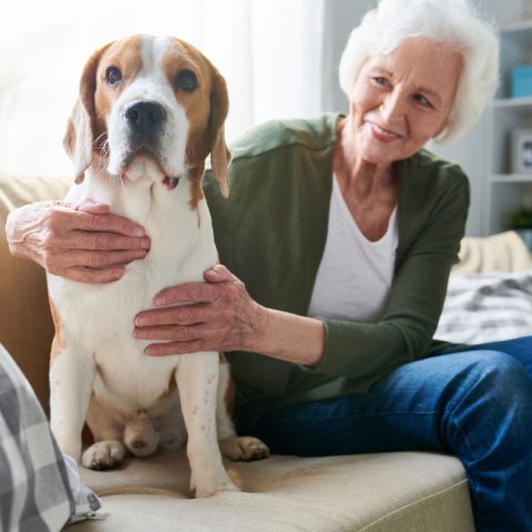 Vrouw met hond geniet van pensioen – Pensioen – Zakelijk