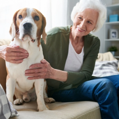 Vrouw met hond geniet van pensioen – Pensioen – Zakelijk