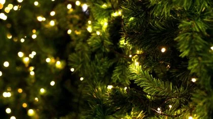 Kerstverlichting in de kerstboom – Woonhuisverzekering – Particulier