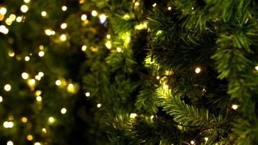 Kerstverlichting in de kerstboom – Woonhuisverzekering – Particulier