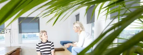 Wie is Zicht adviseurs?
