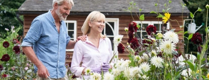 Tuinhuizen op volkstuinparken goed verzekerd