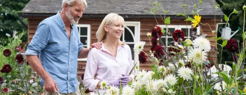 Tuinhuizen op volkstuinparken goed verzekerd