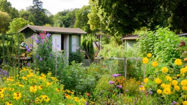 Tuinhuis tussen de bloemen – Tuinhuisverzekering – Zicht adviseurs