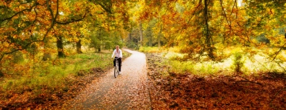 Fietsen in de herfst – Fietsverzekering – Particulier