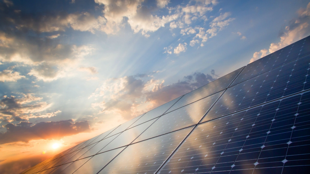 Zonnepanelen – Zakelijk – Zicht adviseurs