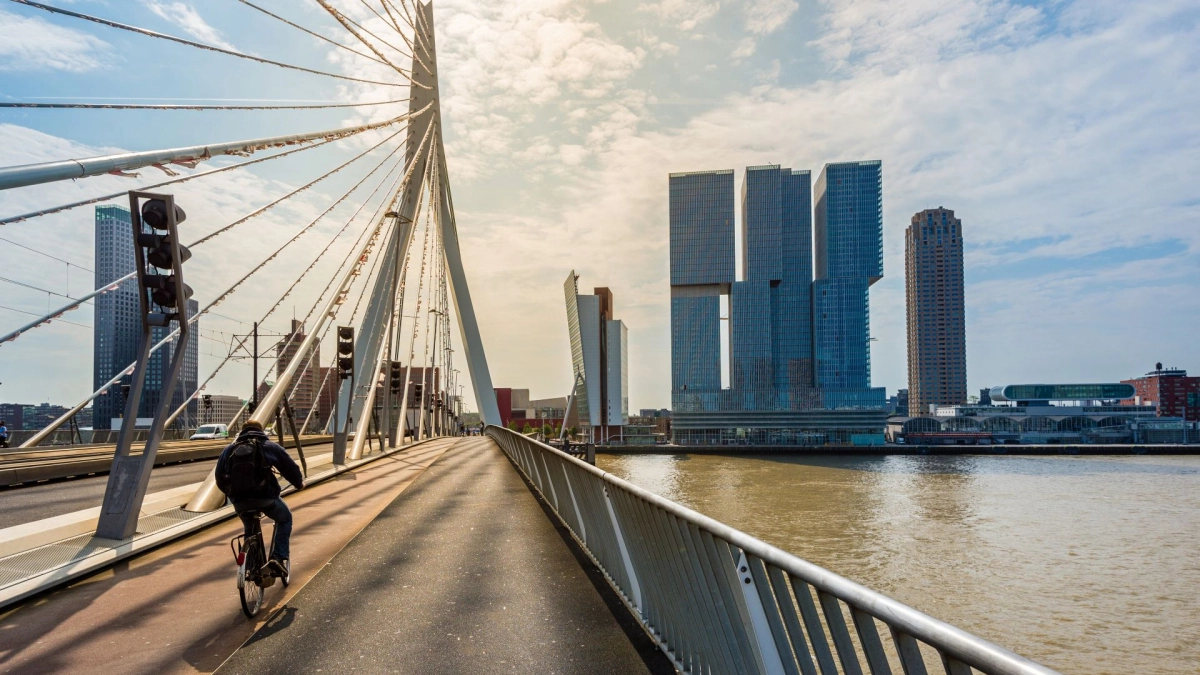 Zicht_adviseurs_rotterdam